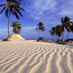 Dunas em Salvador na Bahia, Brasil (Dunes at Salvador, Bahia, Brazil)